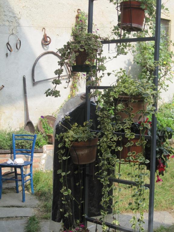 Villa Emilia Roppolo Esterno foto